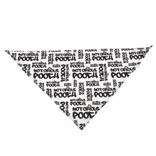 Load image into Gallery viewer, Style & Grace Scarf