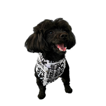 Load image into Gallery viewer, Style & Grace Scarf