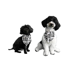 Load image into Gallery viewer, Style & Grace Scarf