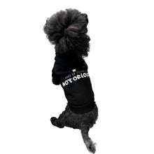 Load image into Gallery viewer, Woke Up Feeling Hoodie