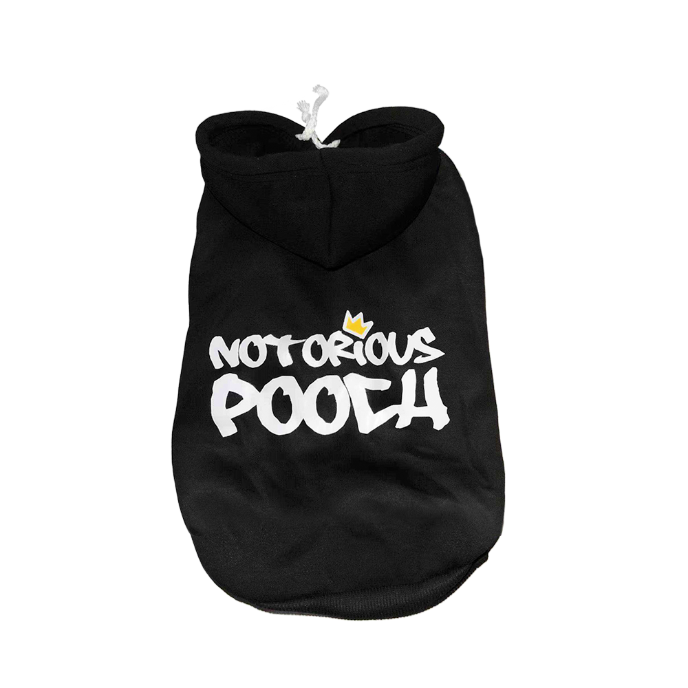 The Logo Hoodie