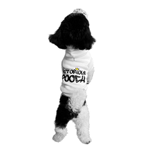 Load image into Gallery viewer, The Logo Hoodie
